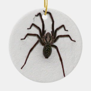 Adorno De Cerámica Araña espeluznante