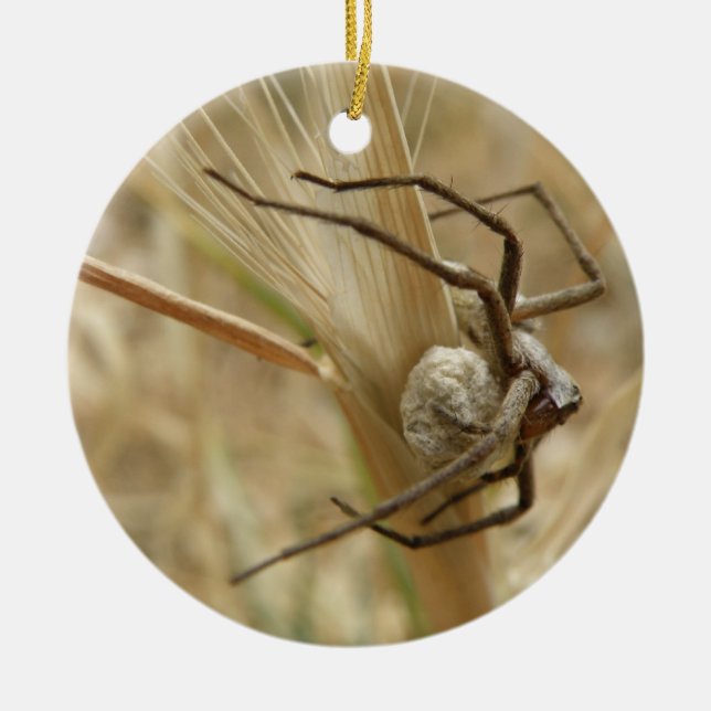 Adorno De Cerámica Araña y Personalizado de Egg Sac Cumpleaños (Frente)