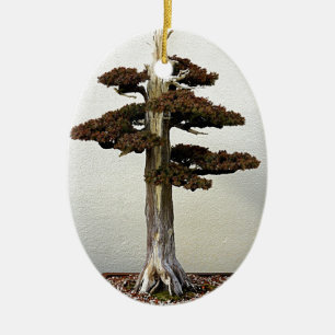 Adorno De Cerámica Árbol chino de los bonsais del enebro