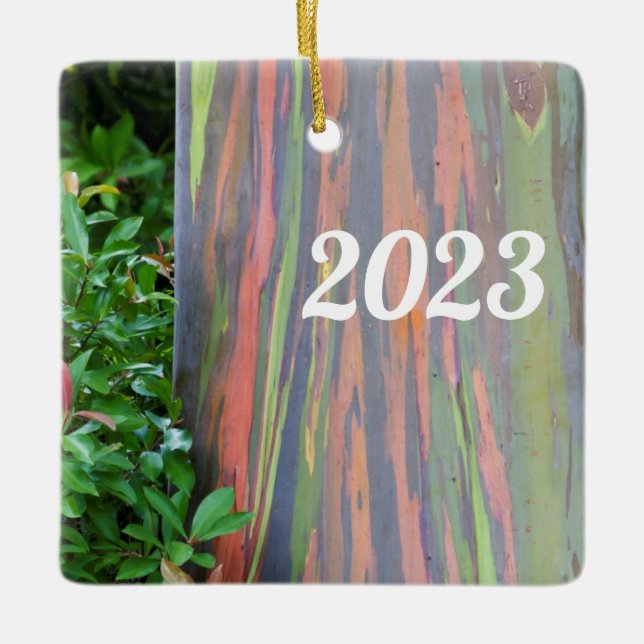 Adorno De Cerámica Árbol de eucaliptos arcoiris (Anverso)