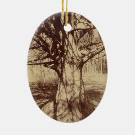 Adorno De Cerámica Árbol de haya (por Eugène Atget)