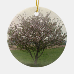 Adorno De Cerámica Árbol de manzanas en flor