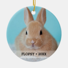 Adorno De Cerámica Árbol de Mascota personalizado de foto de conejo