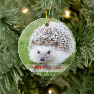 Adorno De Cerámica Árbol de Navidad Mascota personalizado Hedgehog P