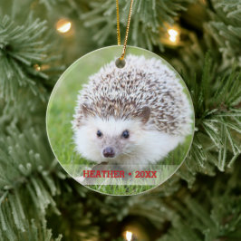 Adorno De Cerámica Árbol de Navidad Mascota personalizado Hedgehog Ph