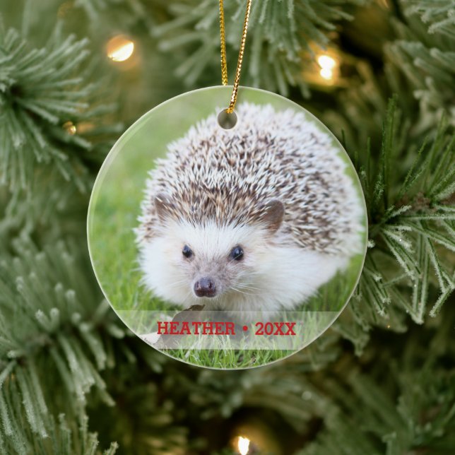 Adorno De Cerámica Árbol de Navidad Mascota personalizado Hedgehog Ph (Árbol)