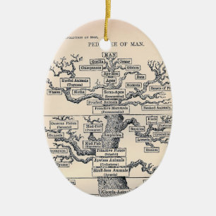 Adorno De Cerámica Árbol De Vida / Pedigree De Hombre