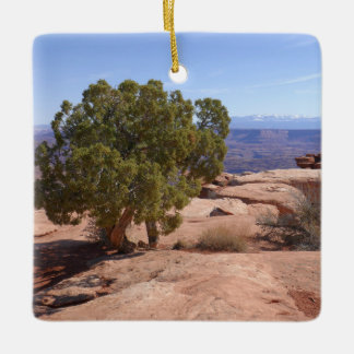 Adorno De Cerámica Árbol fuera de Red Rocks II en Canyonlands