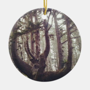 Adorno De Cerámica Árbol Pulpo, Cape Meares, Oregon