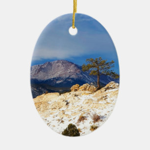 Adorno De Cerámica Árbol solitario