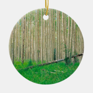 Adorno De Cerámica Arboleda Colorado de Aspen del árbol