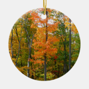 Adorno De Cerámica Árboles de Arce de Otoño Fotografía de la Naturale