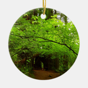 Adorno De Cerámica Árboles de arce en bosque de secuoya