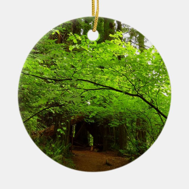 Adorno De Cerámica Árboles de arce en bosque de secuoya (Frente)