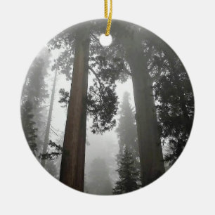 Adorno De Cerámica Árboles de secuoyas gigantes en niebla, CA