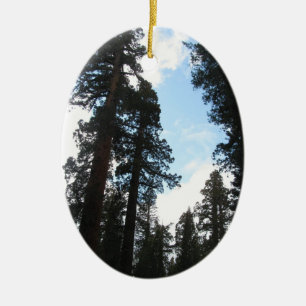 Adorno De Cerámica Árboles de Yosemite