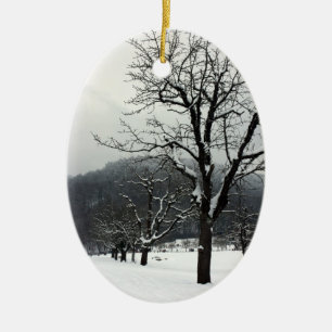 Adorno De Cerámica Árboles del invierno. Arlesheim, Suiza