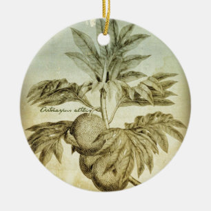 Adorno De Cerámica Árboles del pan antiguos Artocarpus Altilis