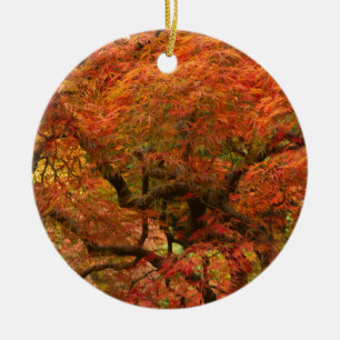 Adorno De Cerámica Arce japonés en color de otoño