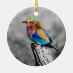 Adorno De Cerámica Arcoiris