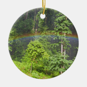 Adorno De Cerámica Arcoíris en el bosque
