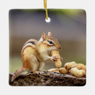 Adorno De Cerámica Ardilla comiendo un cacahuete