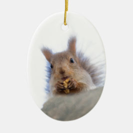 Adorno De Cerámica Ardilla con nogal