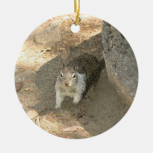 Adorno De Cerámica Ardilla Cuta en Yosemite, CA
