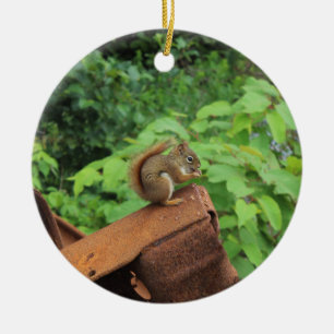 Adorno De Cerámica Ardilla de Camo