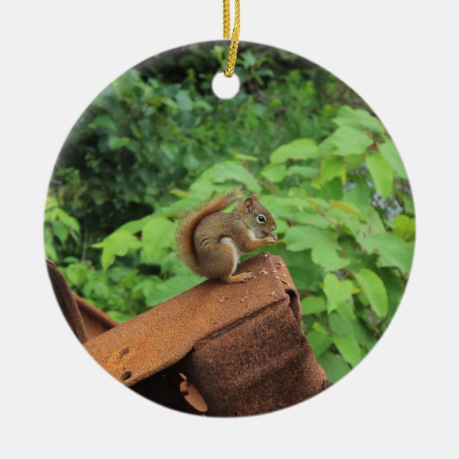 Adorno De Cerámica Ardilla de Camo (Frente)