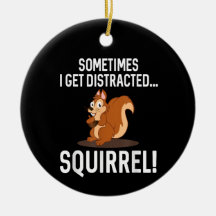 ARDILLA DIVERTIDA DISTRAÍDA Animales Zoológico Gra