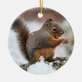 Adorno De Cerámica Ardilla linda en la foto de la nieve
