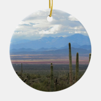 Adorno De Cerámica Arizona