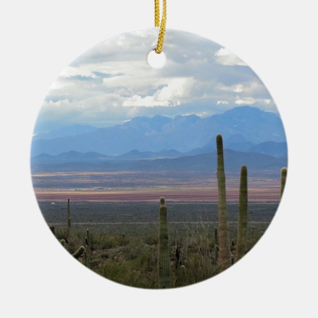 Adorno De Cerámica Arizona (Frente)