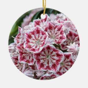 Adorno De Cerámica Aroma cerámica con laurel de montaña