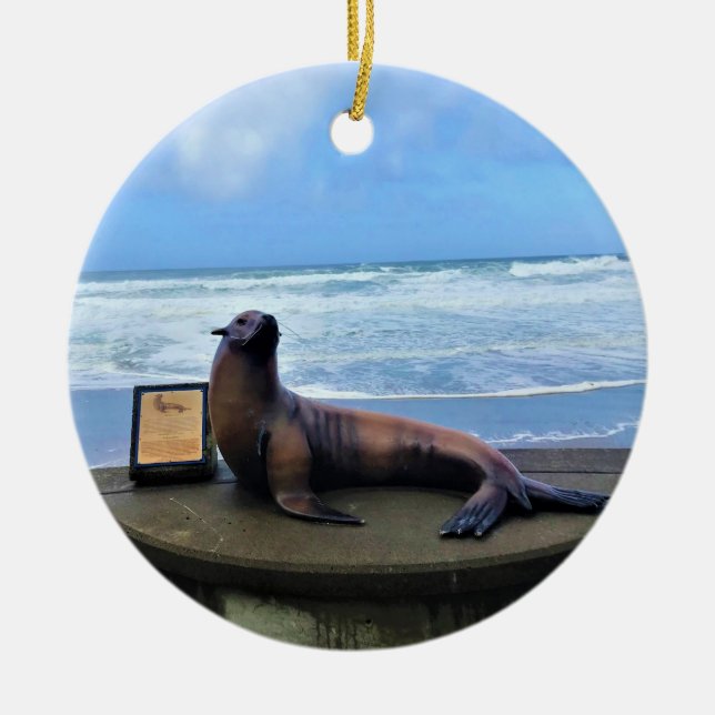 Adorno De Cerámica Arrecife de Nelscott, Lincoln City, Oregón (Frente)