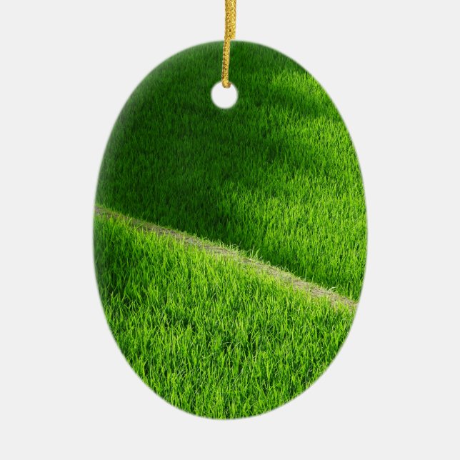 Adorno De Cerámica Arroz con terrazas campos de arroz de Yamada Japón (Frente)