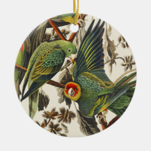 Adorno De Cerámica Arte de ave loro de Carolina vintage de Audubon