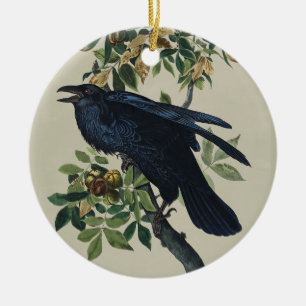 Adorno De Cerámica Arte de la Naturaleza del Cuervo de Audubon Vintag