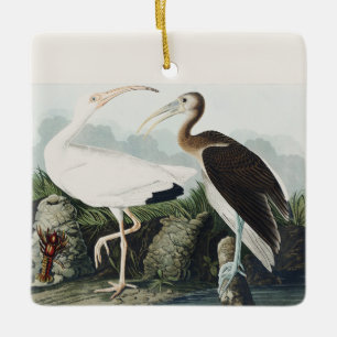 Adorno De Cerámica Arte de la naturaleza del Ibis Blanco de Audubon v