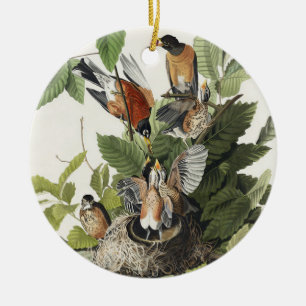Adorno De Cerámica Arte de nido de pájaro Robin americano Audubon vin