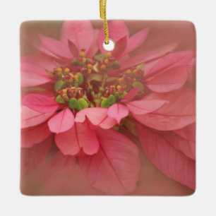 Adorno De Cerámica Arte Digital Flor de Pascua Rubor de Rosa