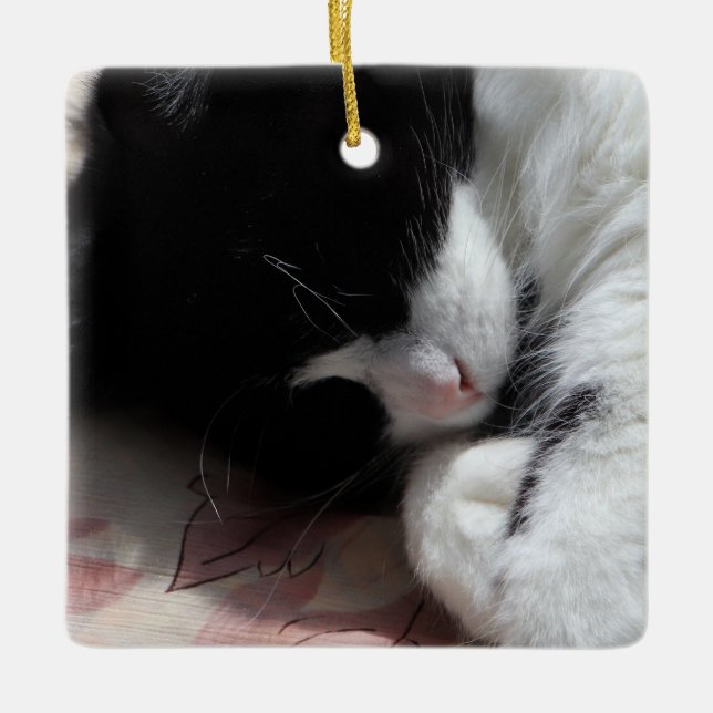 Adorno De Cerámica Arte gato de Tuxedo Cuidada Nariz rosa Gato Gatos  (Anverso)