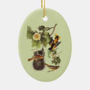 Adorno De Cerámica Arte vintage de pájaros Turpial de Audubon