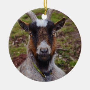 Adorno De Cerámica Ascendente cercano de la cabra