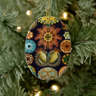 Adorno De Cerámica Ascidiae de Ernst Haeckel, Animales Marinos Vintag