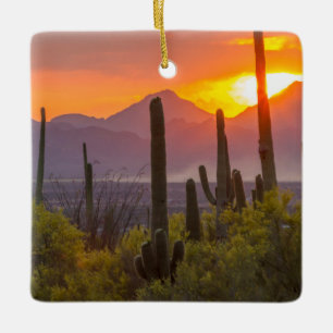 Adorno De Cerámica Atardecer de cactus del desierto, Arizona