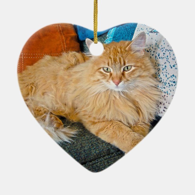 Adorno De Cerámica Atrapado (Atrás)