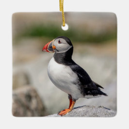 Adorno De Cerámica Atún de aleta atlántica en Maquias, Maine