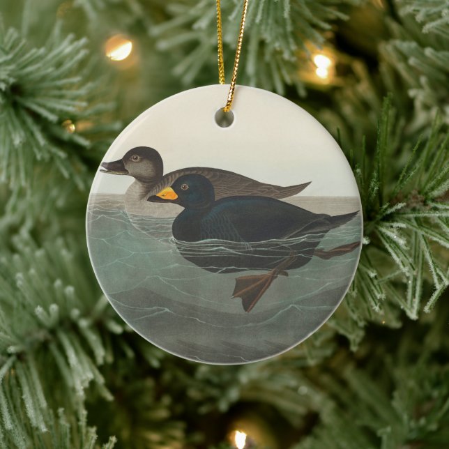 Adorno De Cerámica Audubon American Scoter Duck Classic (Árbol)